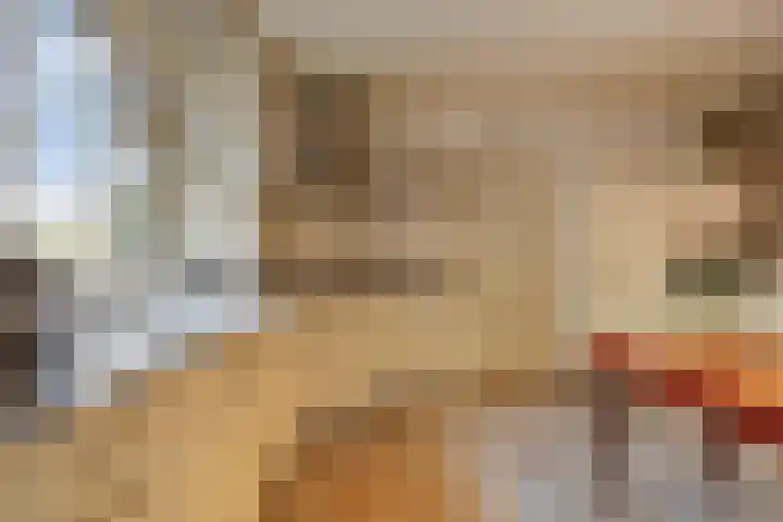 Groesbeekseweg 98 Mook thumbnail 15