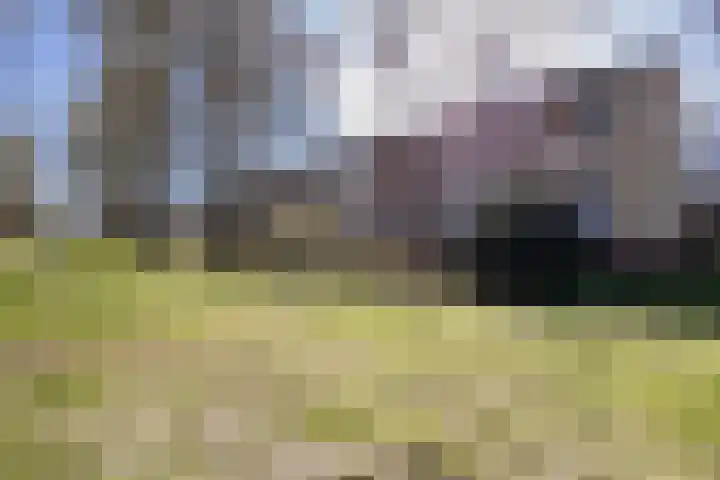 Groesbeekseweg 98 Mook thumbnail 33