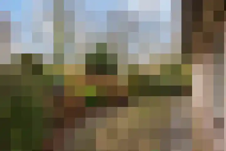 Groesbeekseweg 98 Mook thumbnail 38