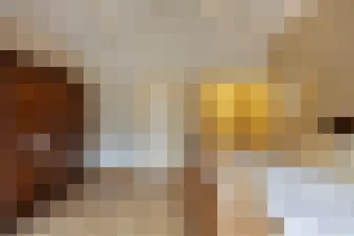 Groesbeekseweg 98 Mook thumbnail 4