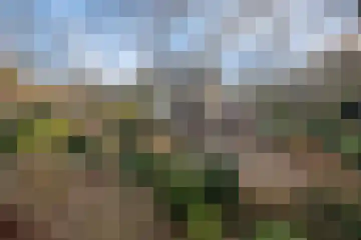 Groesbeekseweg 98 Mook thumbnail 40