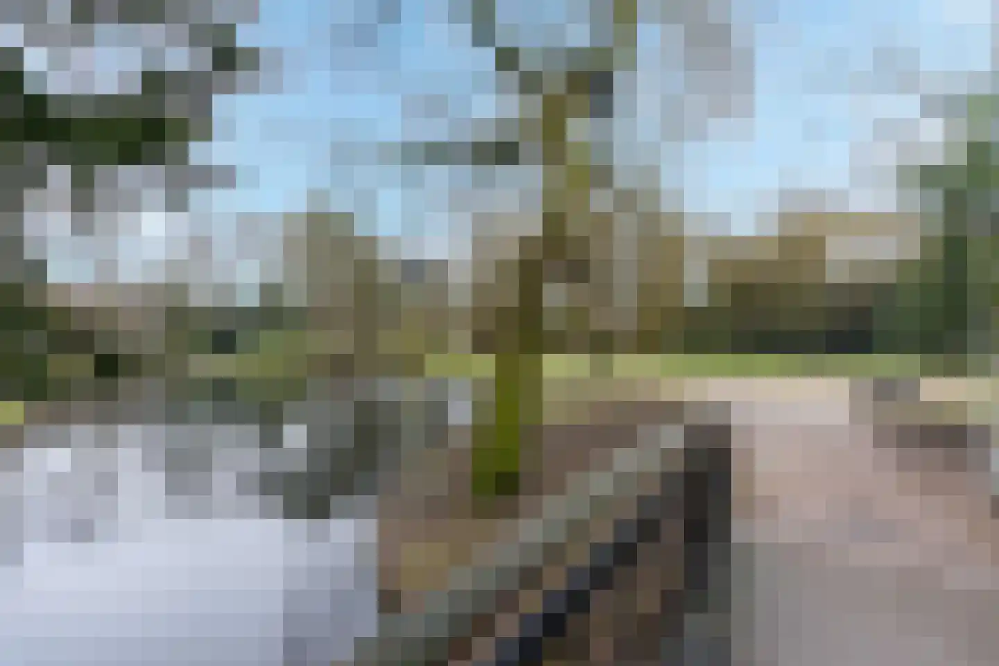 Groeseindstraat 106 Tilburg thumbnail 31