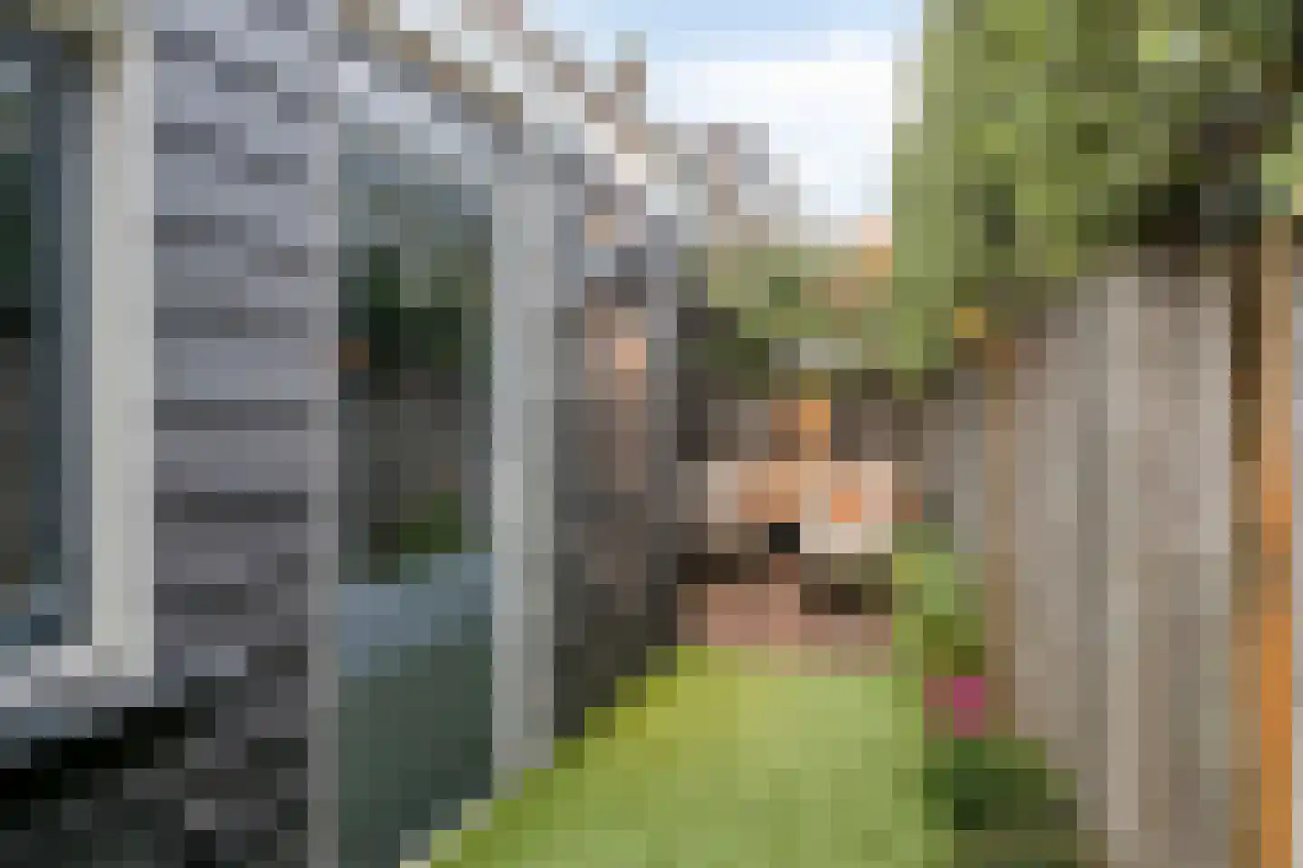 Groeseindstraat 47 f Tilburg thumbnail 34