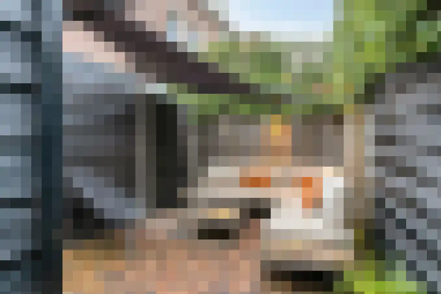 Groeseindstraat 47 f Tilburg thumbnail 35
