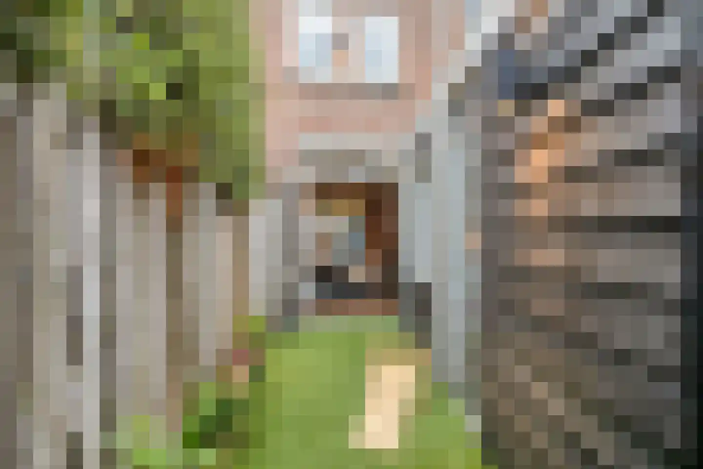 Groeseindstraat 47 f Tilburg thumbnail 36