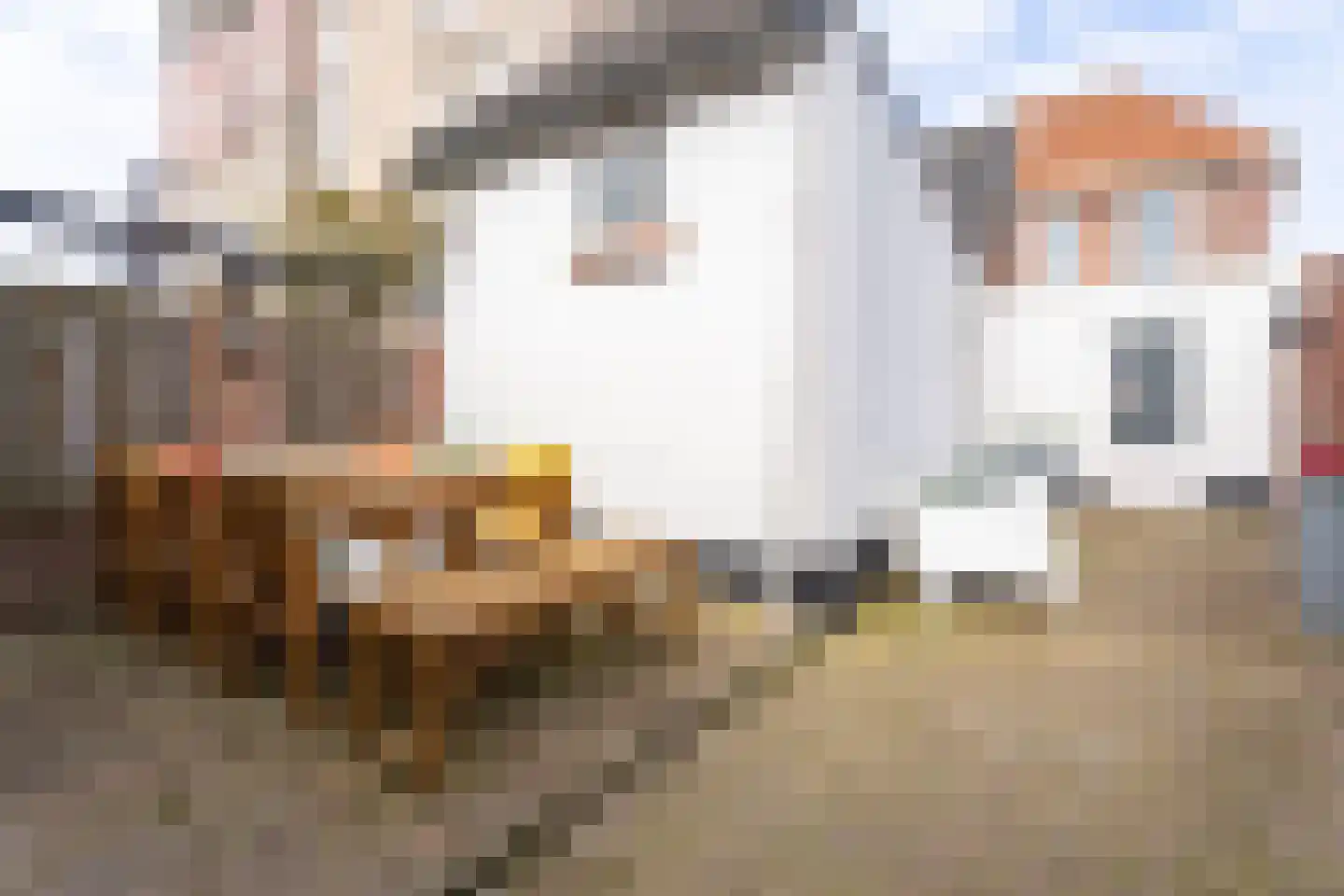Groeseindstraat 50 Tilburg thumbnail 25