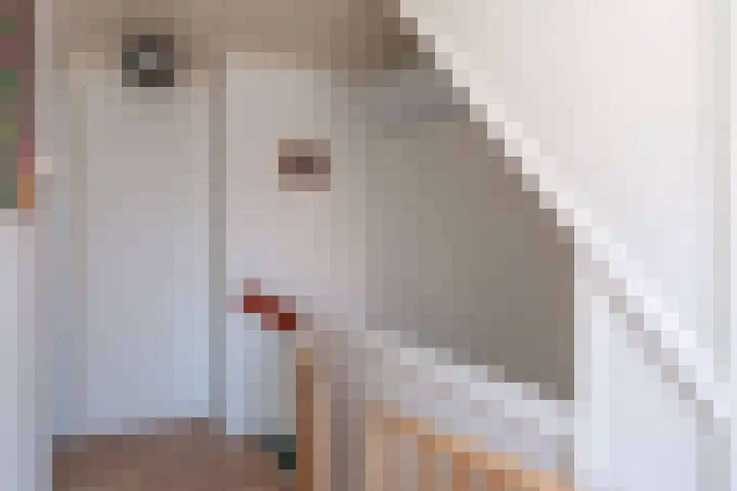 Groeseindstraat 86 Tilburg thumbnail 22