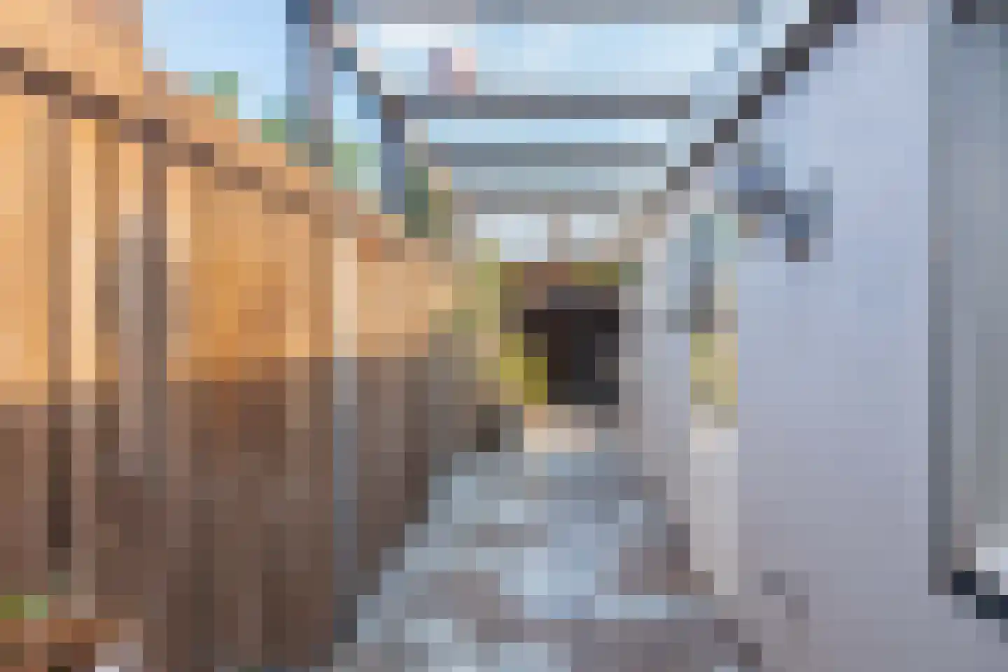 Groeseindstraat 86 Tilburg thumbnail 34