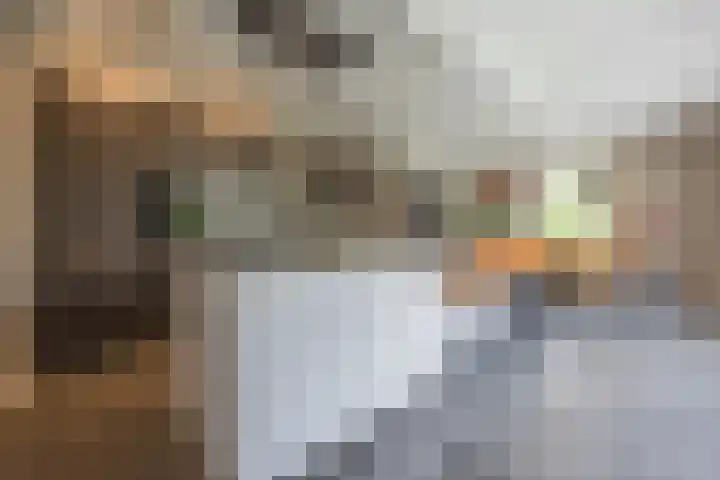 Groeskuilen 107 Gemert thumbnail 16