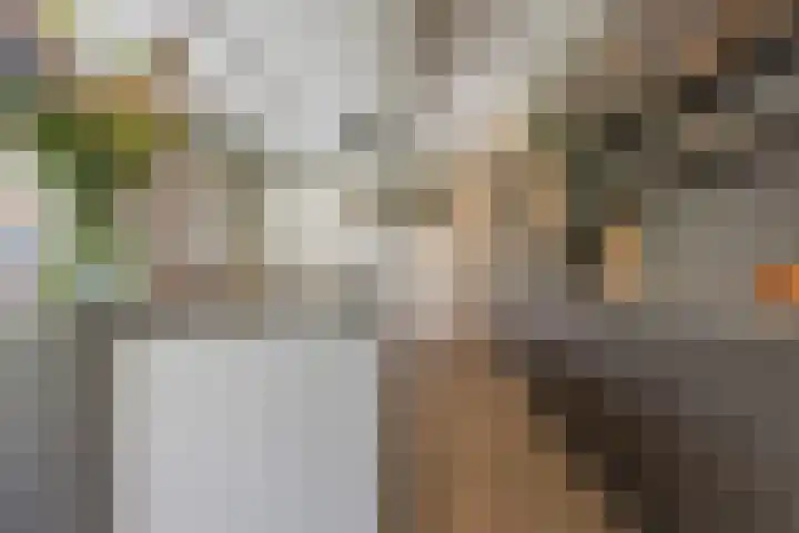 Groeskuilen 107 Gemert thumbnail 17
