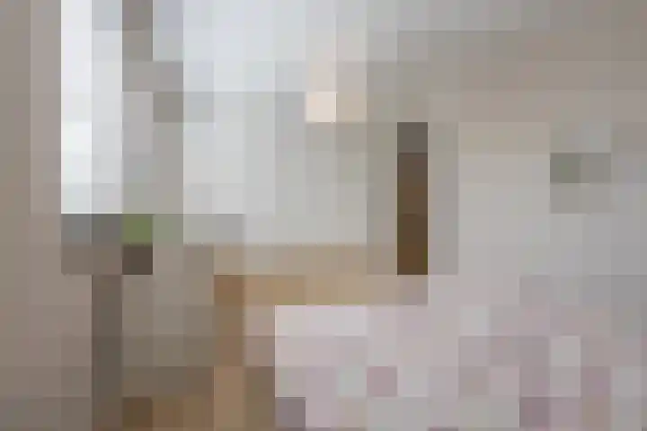 Groeskuilen 107 Gemert thumbnail 29