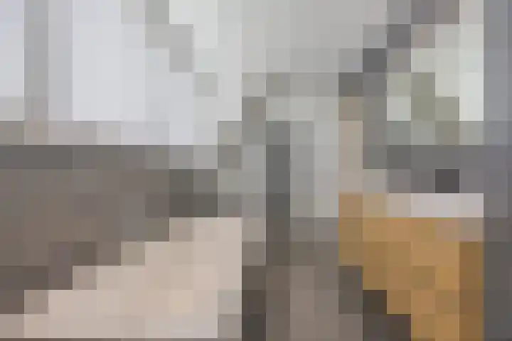 Groeskuilen 107 Gemert thumbnail 35