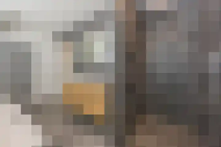 Groeskuilen 107 Gemert thumbnail 36