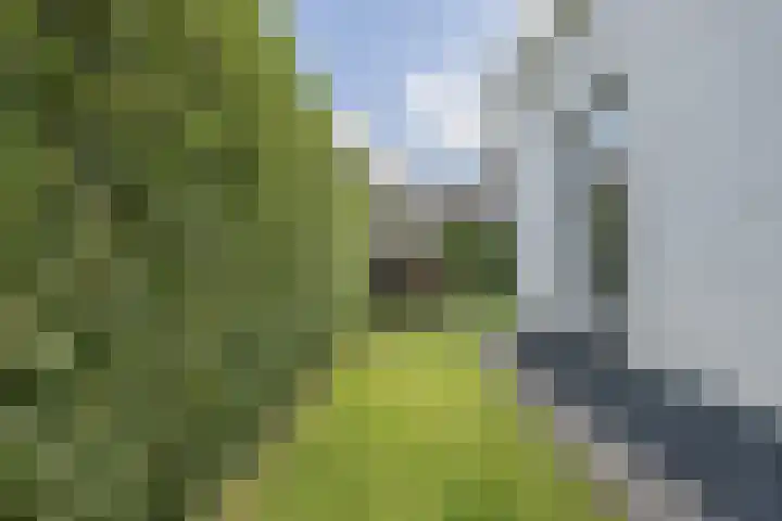 Groeskuilen 107 Gemert thumbnail 46