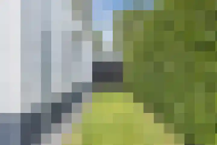 Groeskuilen 107 Gemert thumbnail 47