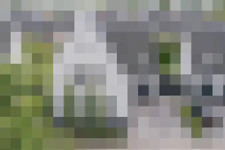 Groeskuilen 107 Gemert thumbnail 55