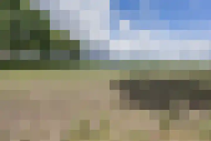 Groeskuilen 107 Gemert thumbnail 62