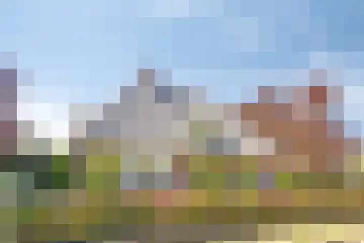 Groeskuilen 169 Gemert thumbnail 12