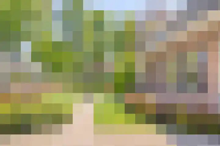Groeskuilen 169 Gemert thumbnail 13