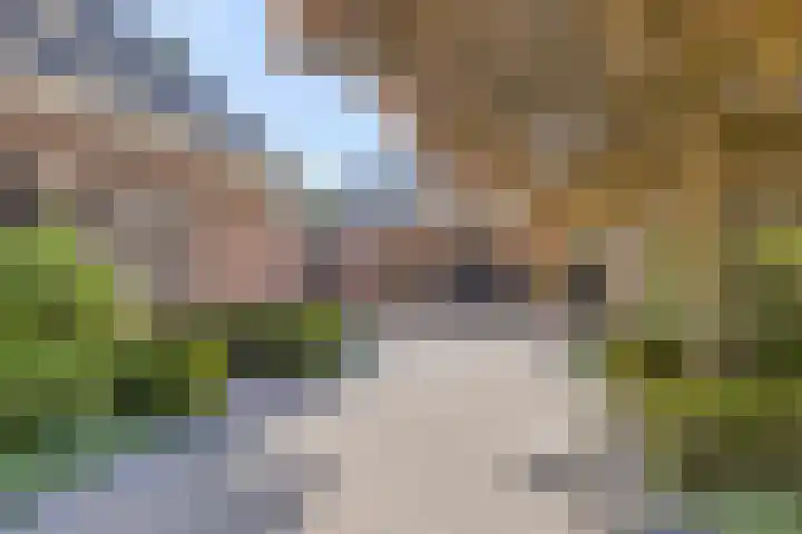 Groeskuilen 169 Gemert thumbnail 14