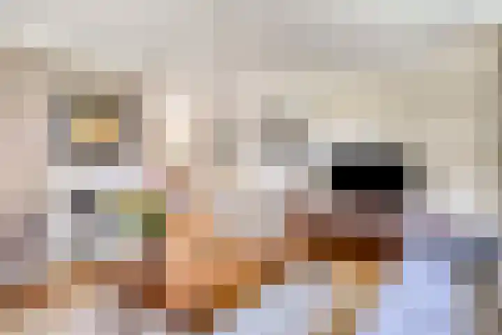 Groeskuilen 169 Gemert thumbnail 21