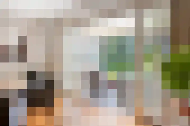 Groeskuilen 169 Gemert thumbnail 27