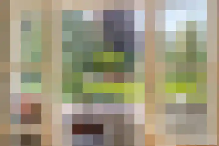 Groeskuilen 169 Gemert thumbnail 28