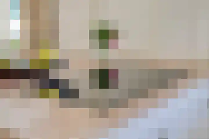 Groeskuilen 169 Gemert thumbnail 36