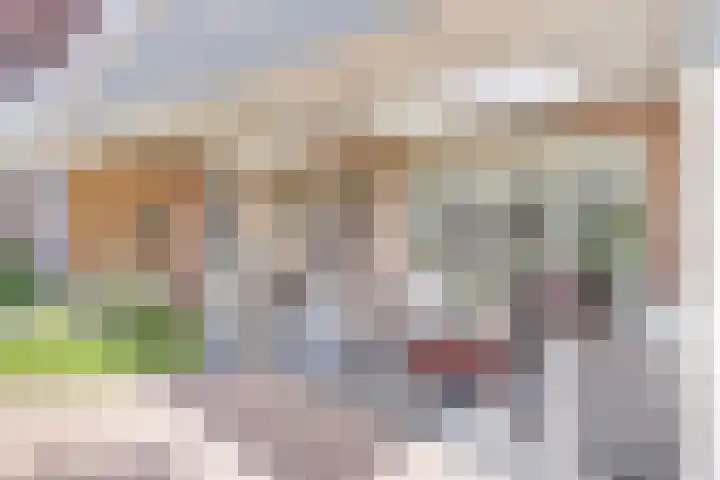 Groeskuilen 169 Gemert thumbnail 4