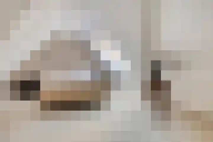Groeskuilen 169 Gemert thumbnail 46
