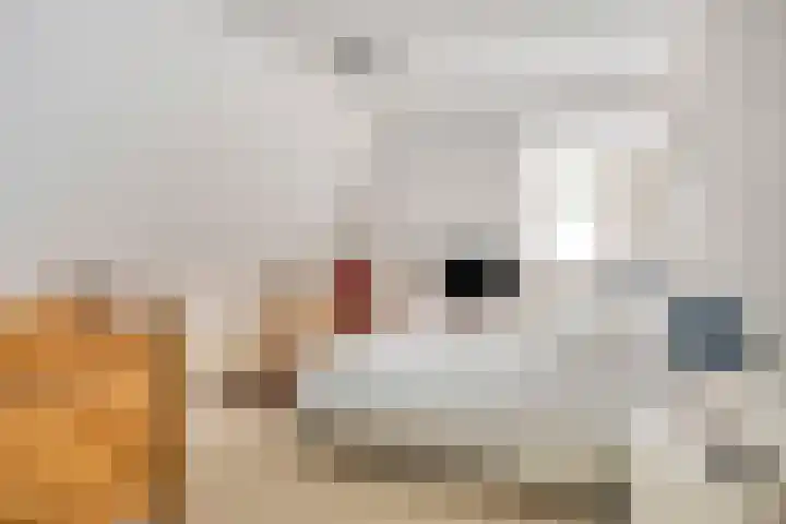 Groeskuilen 169 Gemert thumbnail 48