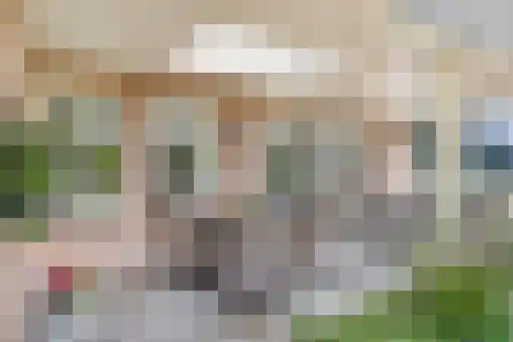 Groeskuilen 169 Gemert thumbnail 60