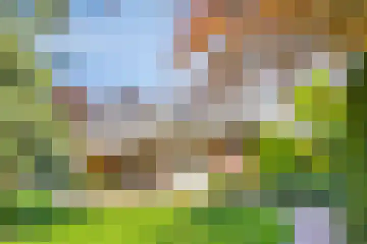 Groeskuilen 169 Gemert thumbnail 62