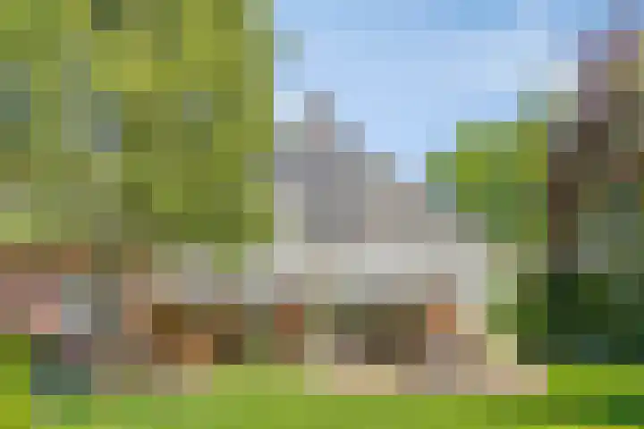 Groeskuilen 169 Gemert thumbnail 63