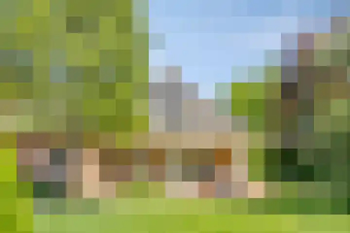 Groeskuilen 169 Gemert thumbnail 64