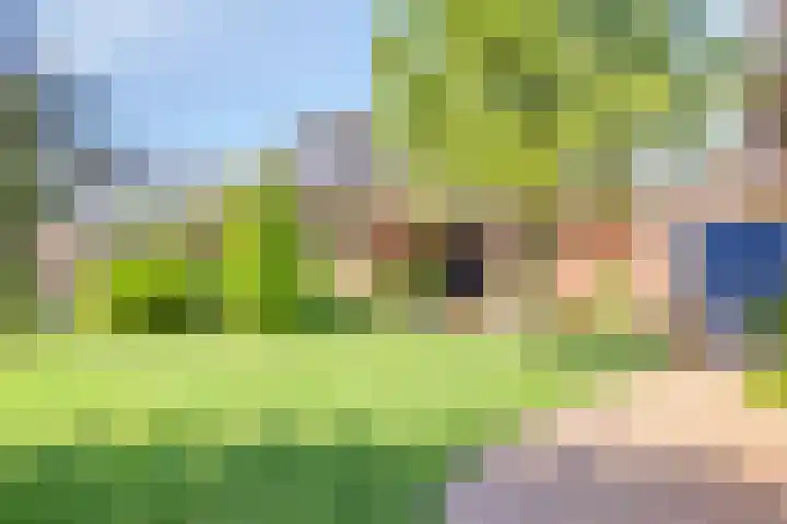 Groeskuilen 169 Gemert thumbnail 66