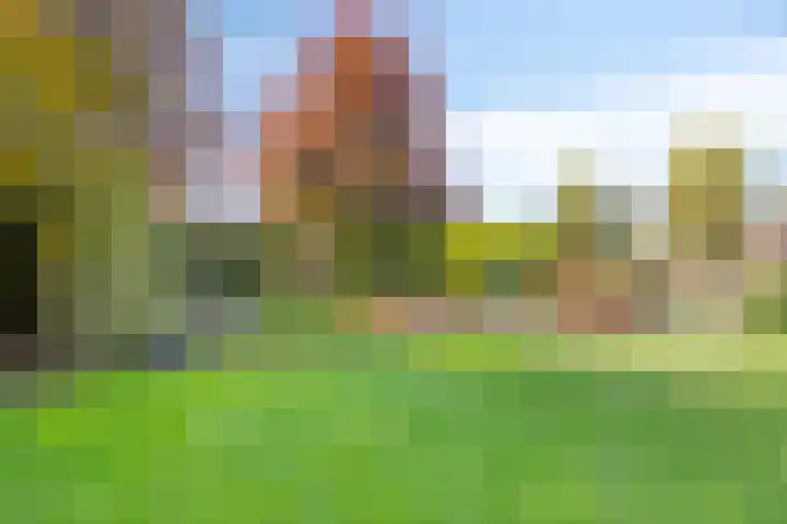Groeskuilen 169 Gemert thumbnail 67