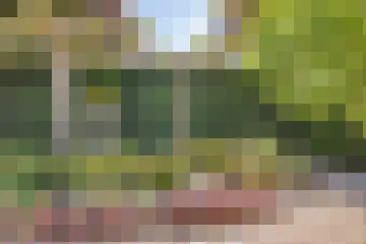Groeskuilen 169 Gemert thumbnail 68