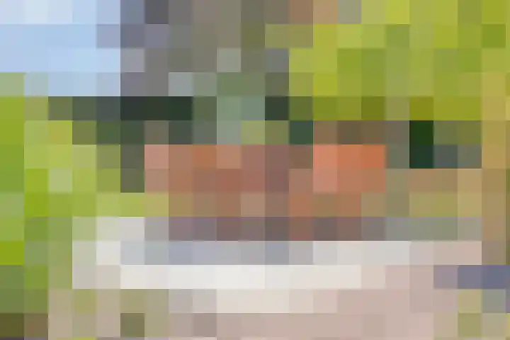 Groeskuilen 169 Gemert thumbnail 69