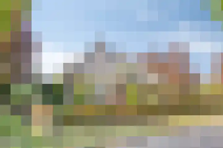 Groeskuilen 169 Gemert thumbnail 9