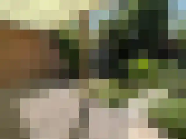 Groeskuilenstraat 27 Gemert thumbnail 20