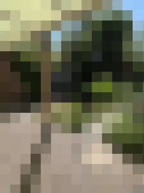 Groeskuilenstraat 27 Gemert thumbnail 21