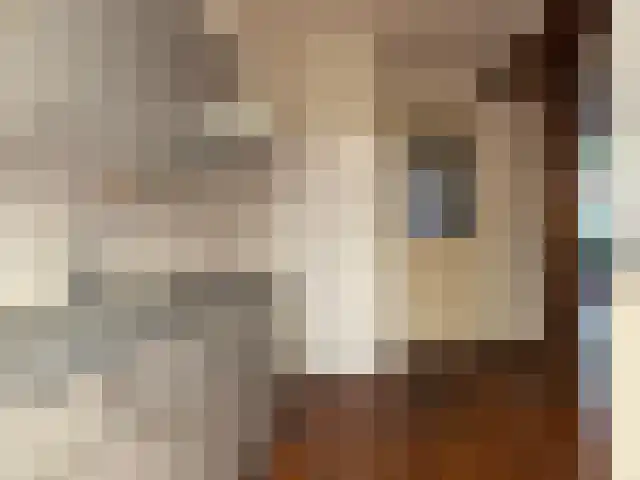 Groeskuilenstraat 27 Gemert thumbnail 22