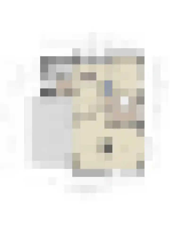 Groeskuilenstraat 27 Gemert thumbnail 50