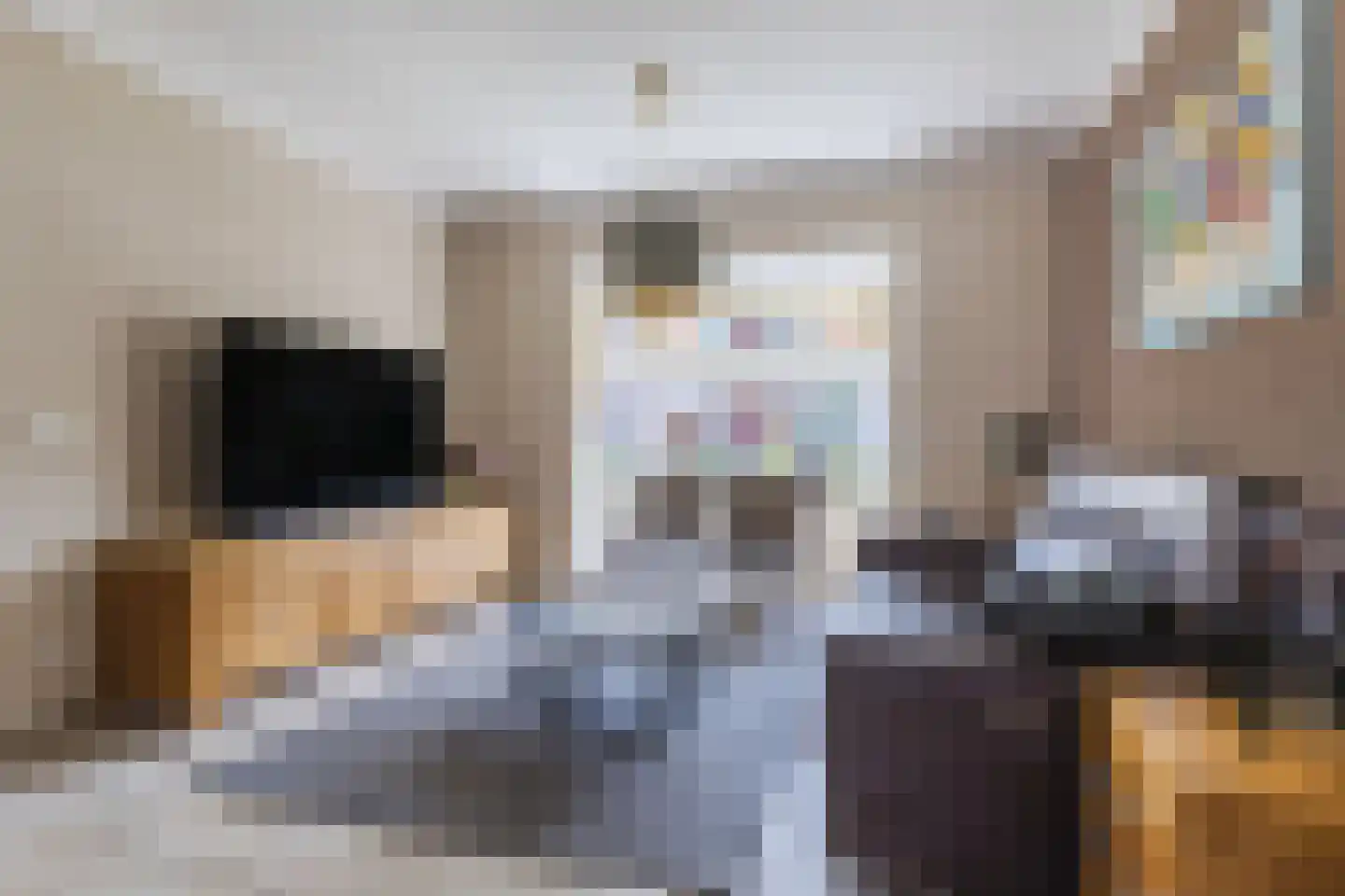 Groeskuilenstraat 40 Gemert thumbnail 12