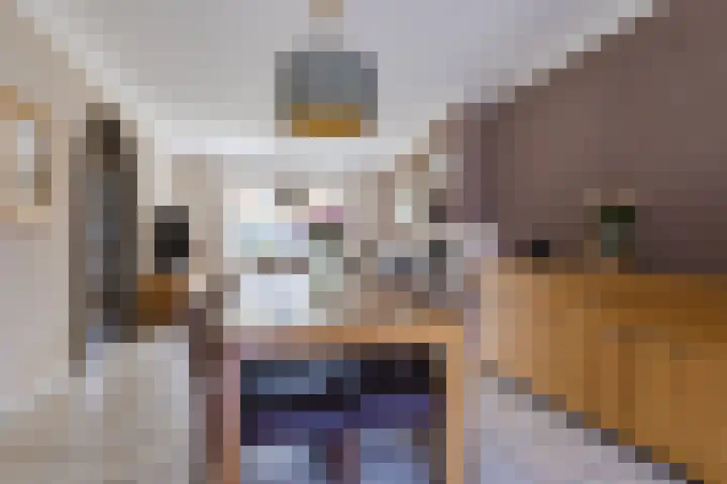 Groeskuilenstraat 40 Gemert thumbnail 16