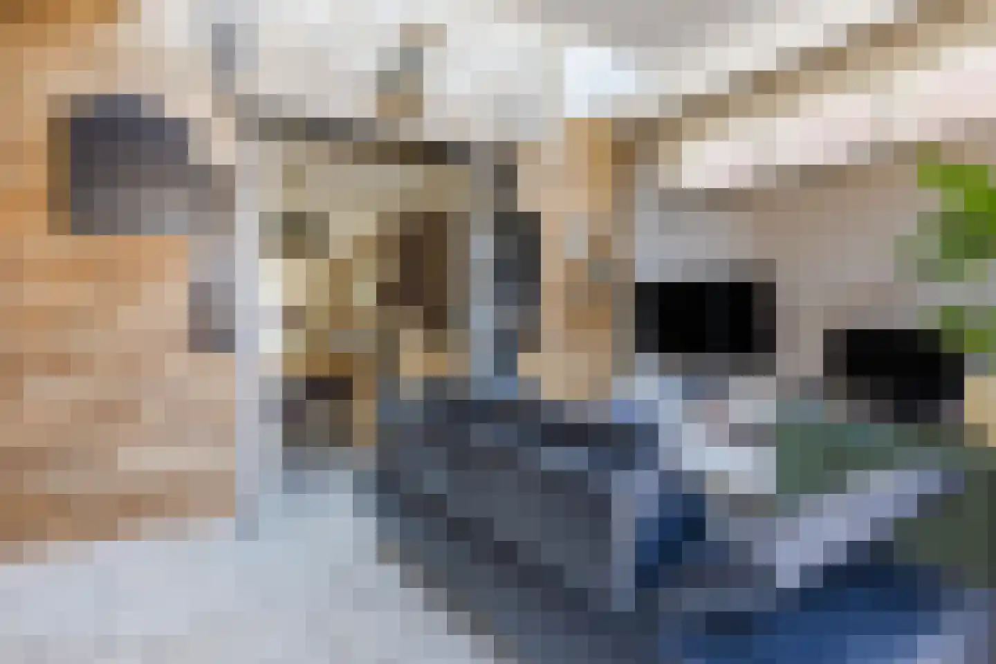 Groeskuilenstraat 40 Gemert thumbnail 17