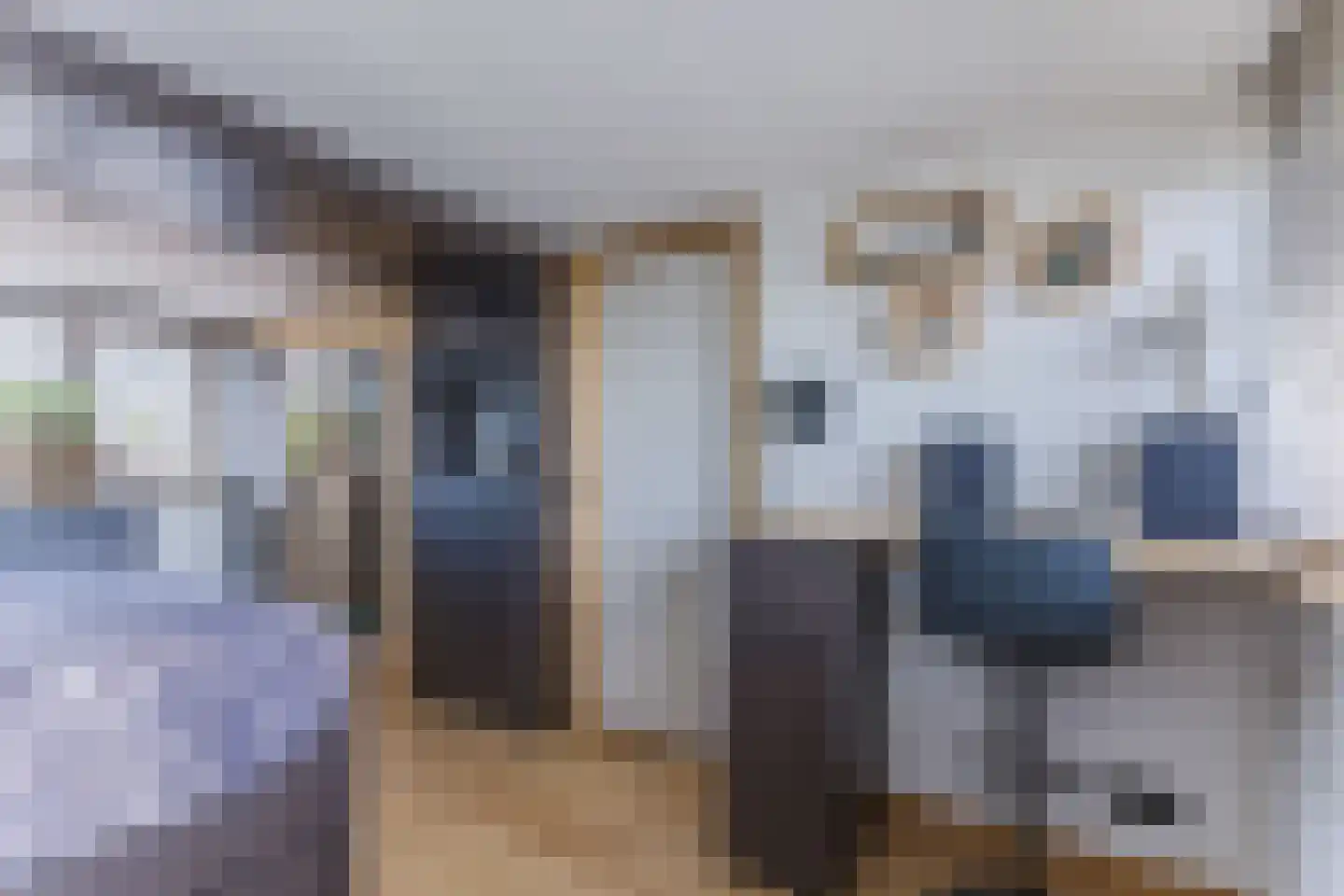 Groeskuilenstraat 40 Gemert thumbnail 34
