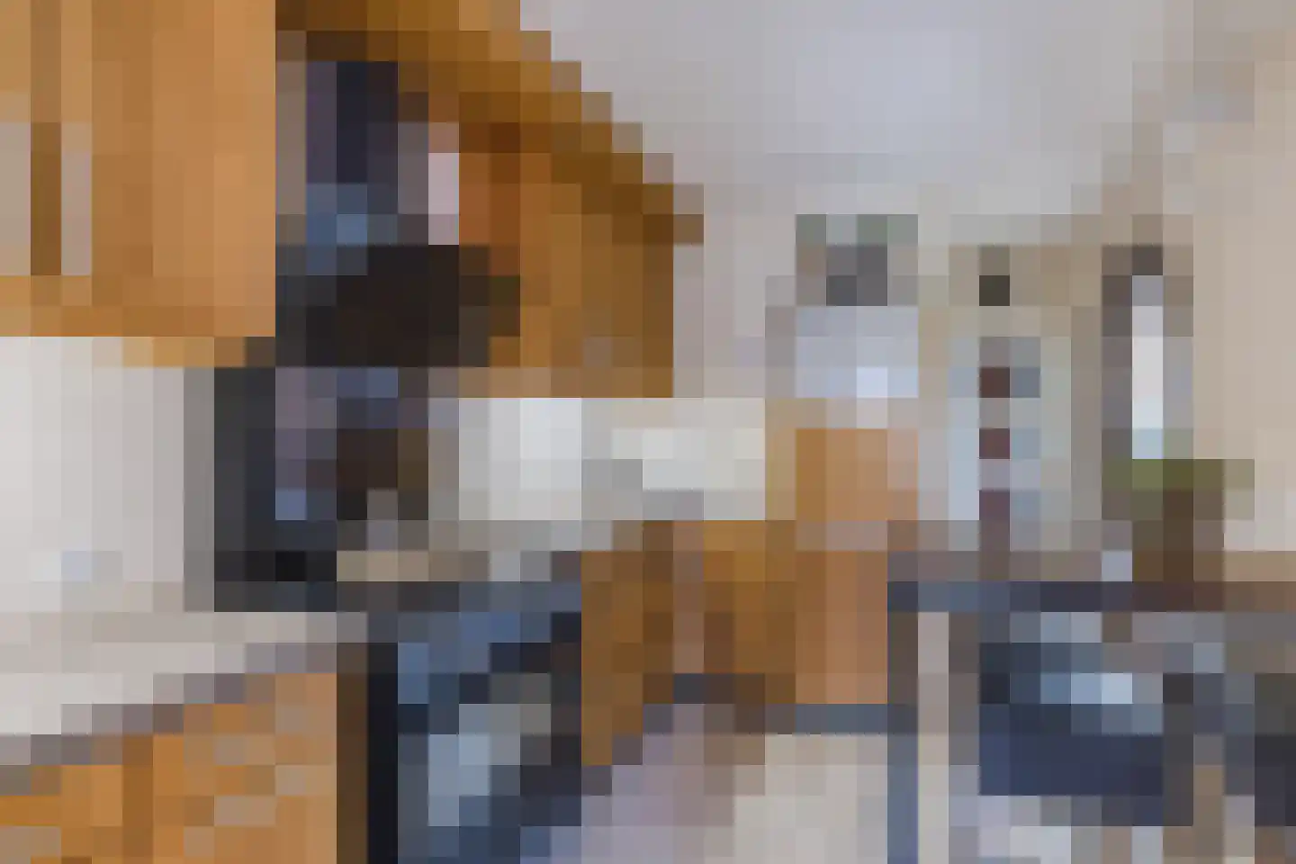 Groeskuilenstraat 40 Gemert thumbnail 4