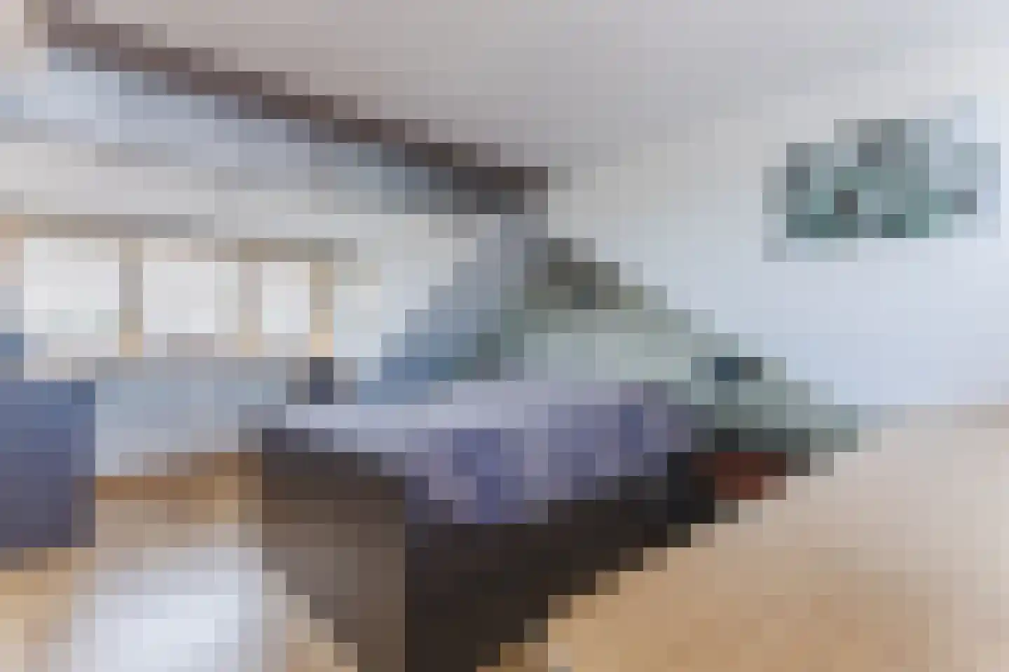 Groeskuilenstraat 40 Gemert thumbnail 5